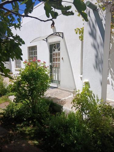 Molteno House | Olive's Cottage