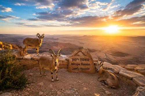 Mitzpe Ramon Apartment | Olympus B&B