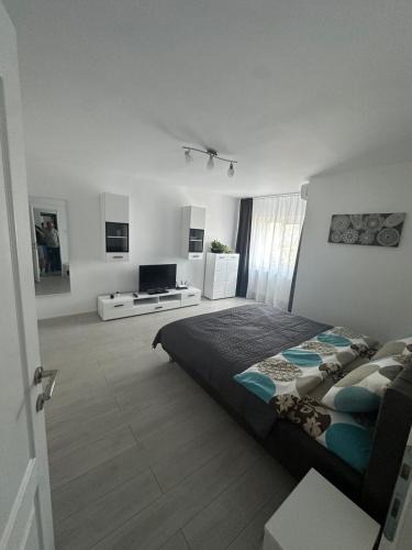 Ocna Mures Apartment | Oma Ra
