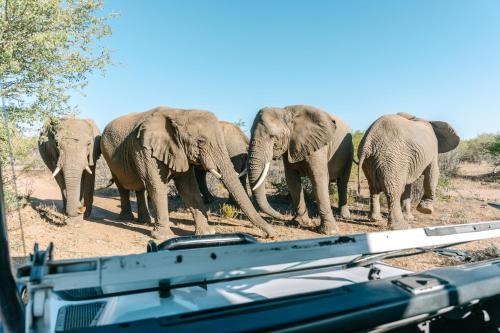 Omaruru Hotel | Omaruru Game Lodge