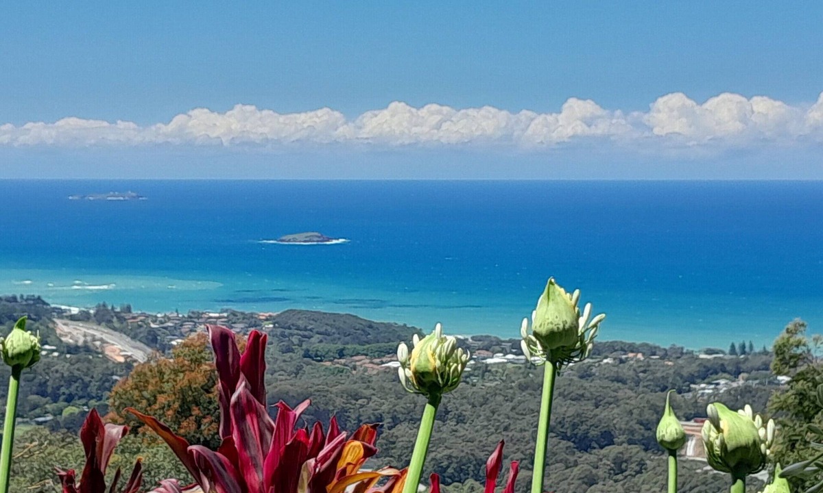 Korora Apartment | ON TOP OF THE WORLD Garden Studio Panoramic Ocean Views, Close to Town & Beaches