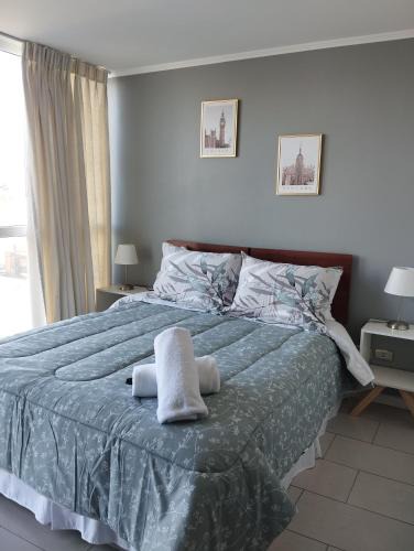 Temuco Apartment | Open Suite 2