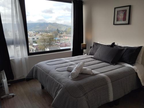 Temuco Apartment | Open Suite 3