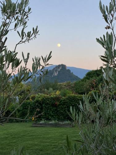 Foix House | Ophidia