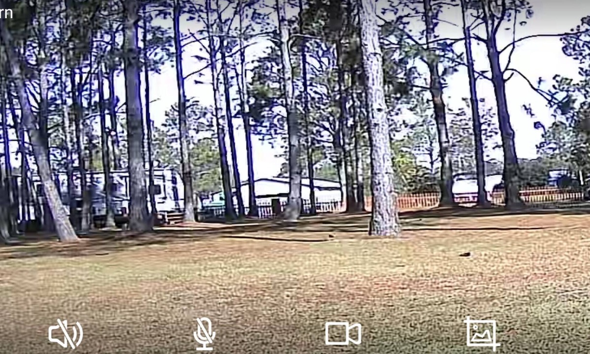 Elberta RV Rental | Orange Beach/Gulf Shores Primitive Camping Area.