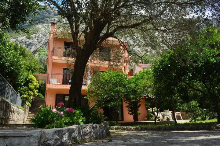 Dobrota Apartment | Orange Dream Apartment