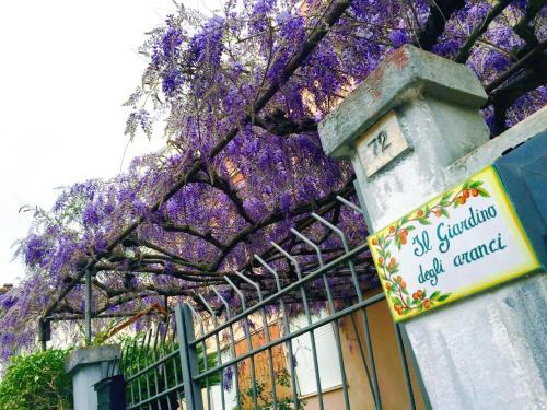 Minturno Apartment | Orange Garden