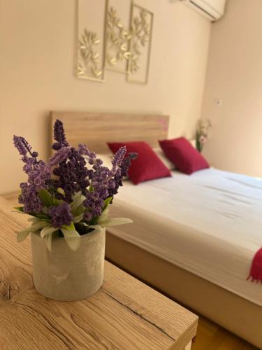 Palilula Apartment | Orchid House