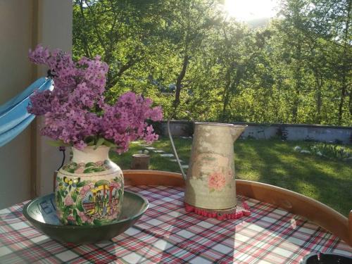 Almopia Apartment | Orma Pet friendly Retreat studio