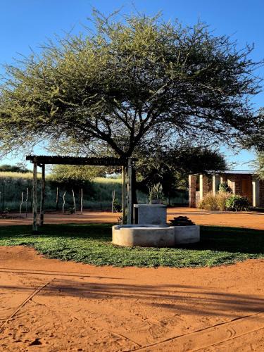 Damaraland Other | Orpheus Camping