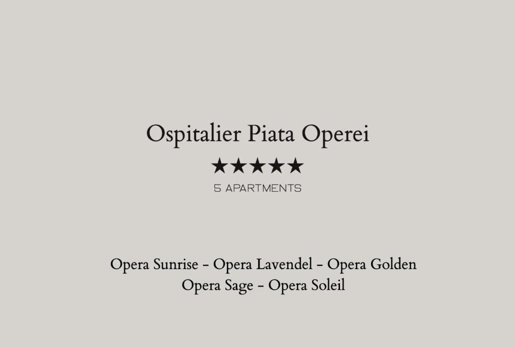 Old City Apartment | Ospitalier Piata Operei - 5 spacious apartments in City Center