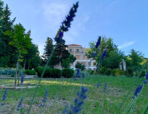 Potenza Hostel | Ostello Il Volto