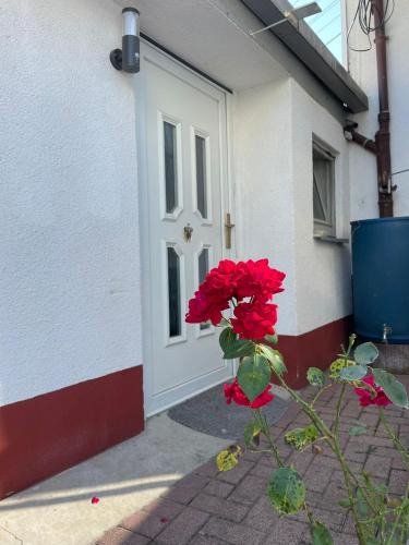 Diedelsheim Apartment | Ostermanns Apartment