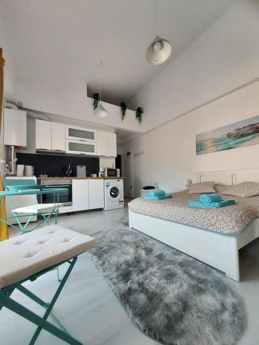 Otopeni Apartment | Otopeni Studio Airport Therme C1A4