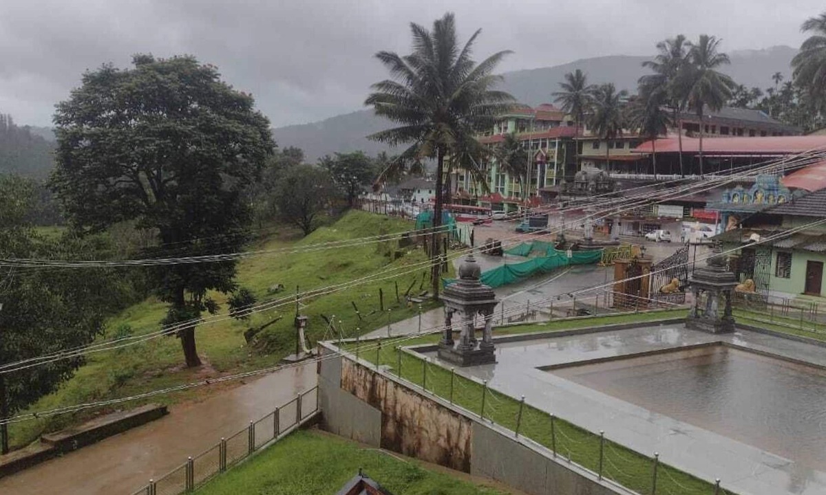 Horanadu Cabin | Padmashree lodge