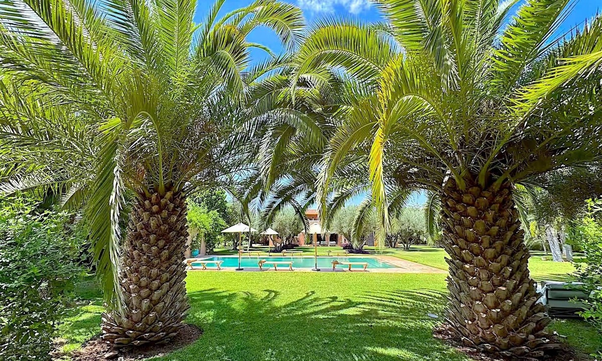 Sidi Abdallah Ghiat Villa | Palais Danka