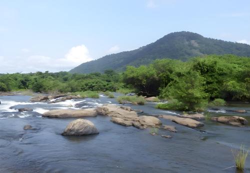Athirapally Bed & Breakfast | Palatty's Resorts