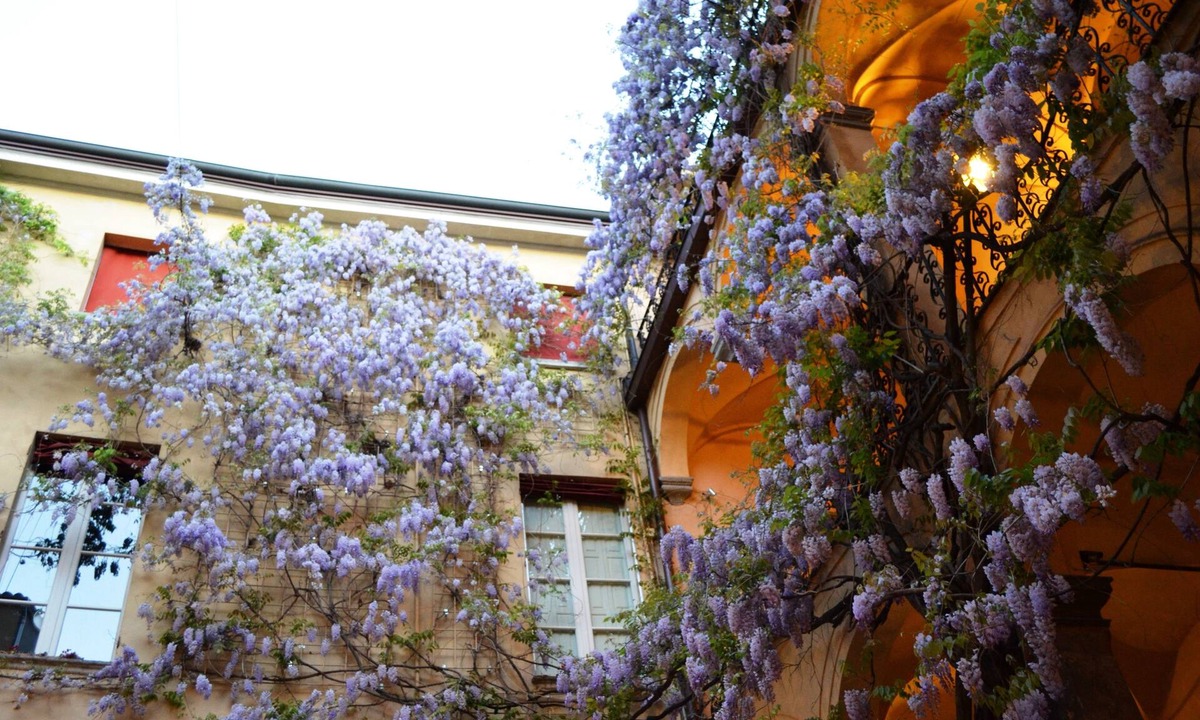 Parma City Centre House | Palazzo Dalla Rosa Prati