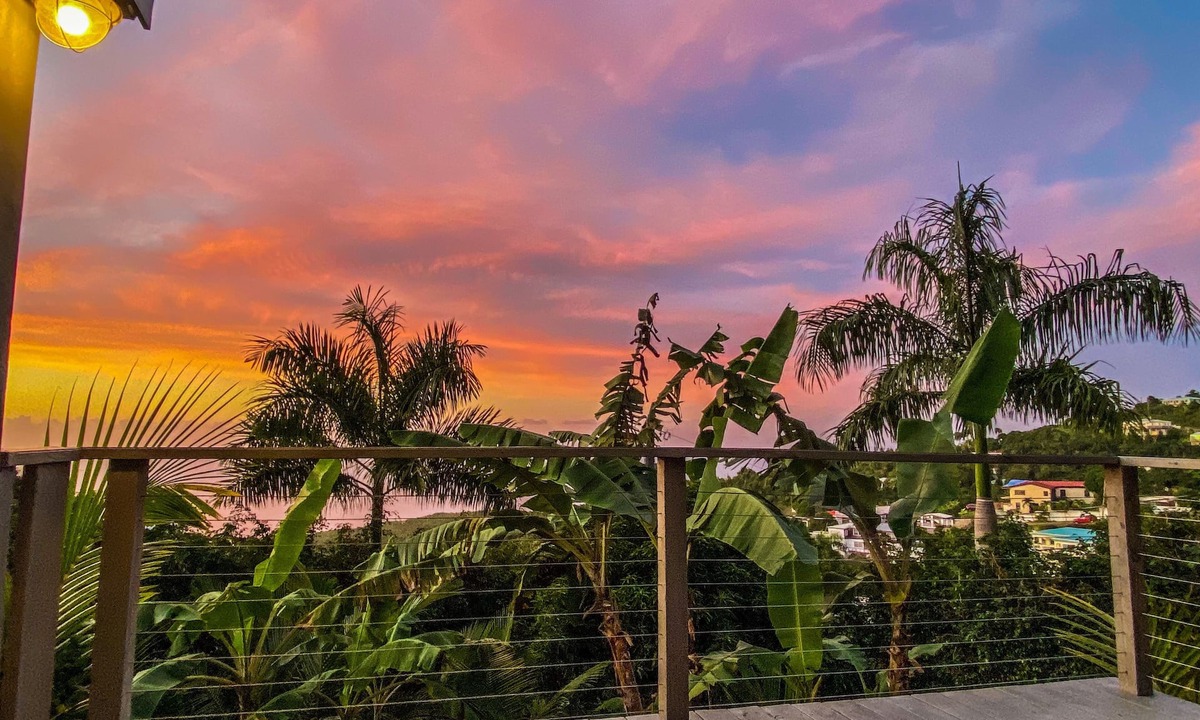 Estate Adelphi Apartment | Palm Deck, a private slice of paradise overlooking the ocean