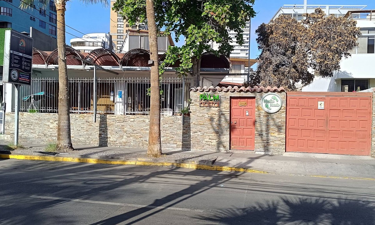 Cavancha Hostel | Palm Hostal