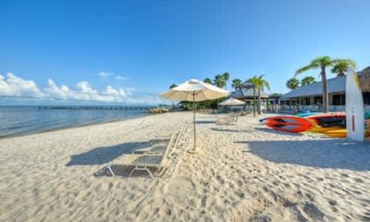 Ruskin Apartment | Palm Terrace Waterfront Htd Pool Hot Tub Tennis