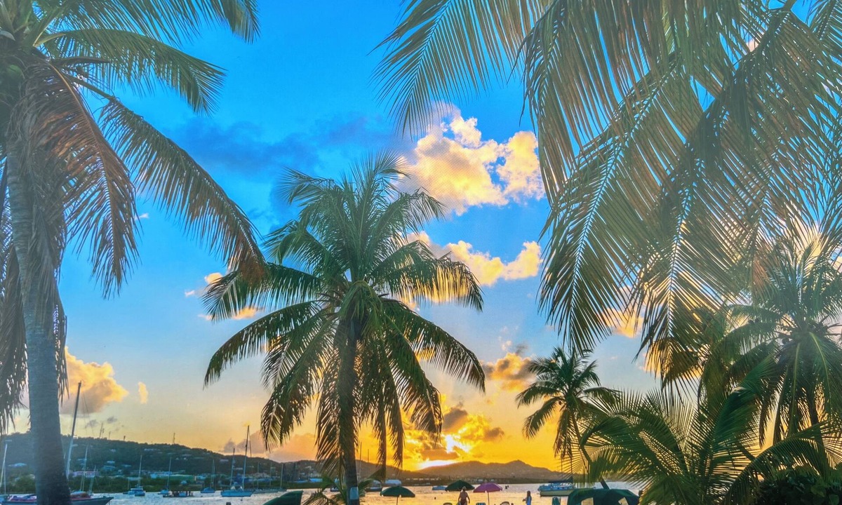La Grande Princesse Condo | Palms Trees & Oceanfront Condo: FAB Reviews -So Cozy 2BD-2Bath,Deck,Pool & WiFi