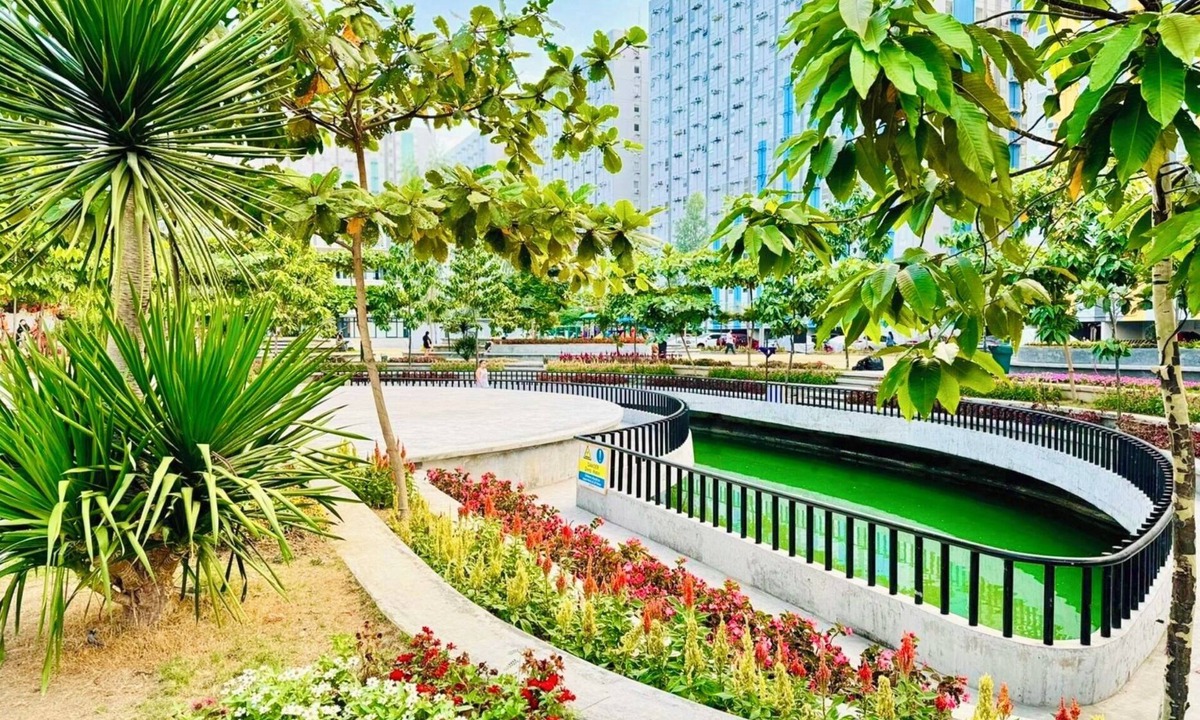 Rosario Condo | Pandora's Nest