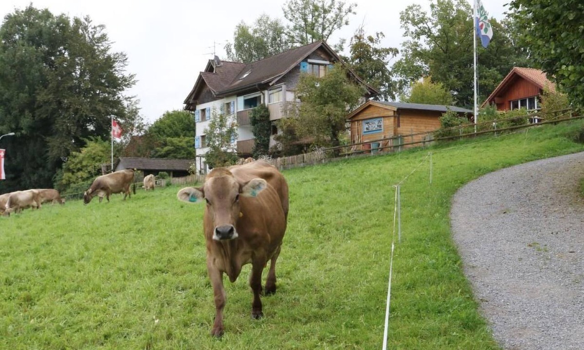 Egnach Apartment | Panorama Blick by Interhome