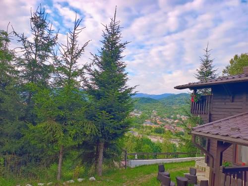 Viseu de Sus House | Panoramic Chalet