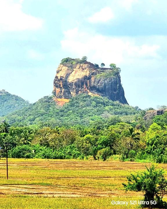 Sigiriya Hotel | Panoramic Royal Villa