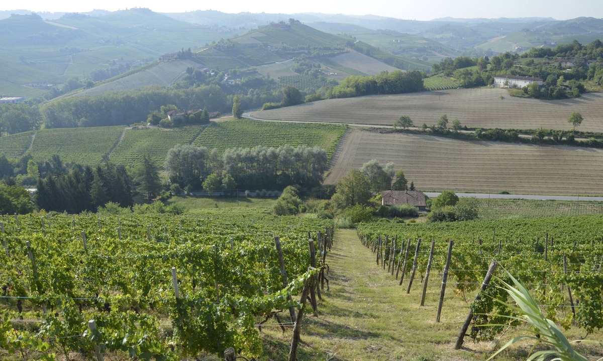 Alba Bed & Breakfast | PANORAMIC VIEW, RELAX, Bed & Breakfast in Alba
