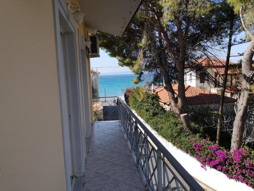 Akrogialion Apartment | Panos & Antzy Apartment