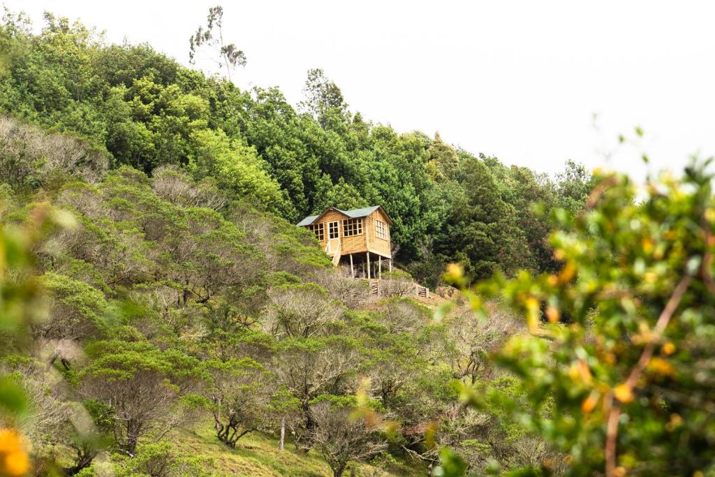 Choconta Other | Paradise Glamping