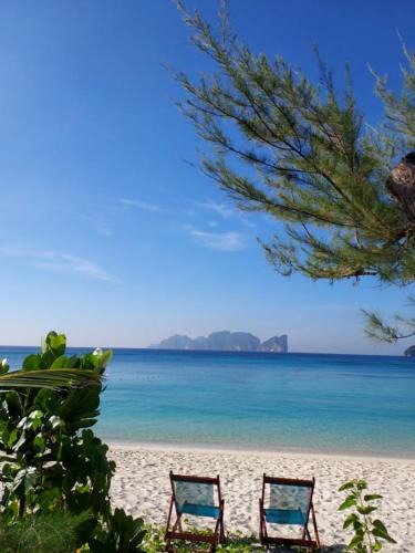 Ko Phi Phi Hotel | Paradise Pearl Bungalows