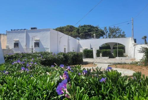 Marina San Gregorio Villa | Paradiso