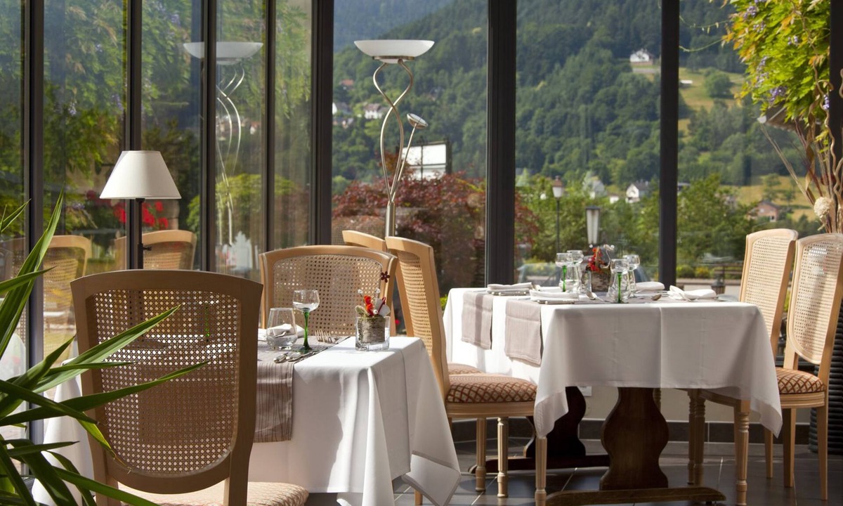 Wangenbourg-Engenthal Hotel | Parc Hotel