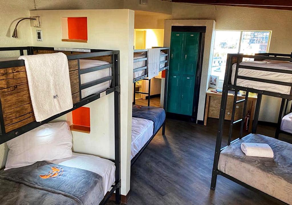 Avenida Revolucion Hostel | Paris Hostel