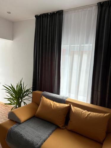 Baia Mare Villa | Park House