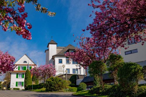 Ueberlingen Hotel | Parkhotel St.Leonhard