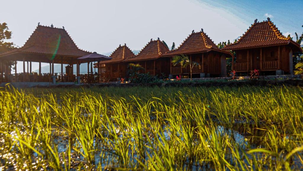 Manggarai Cabin | ParLezo