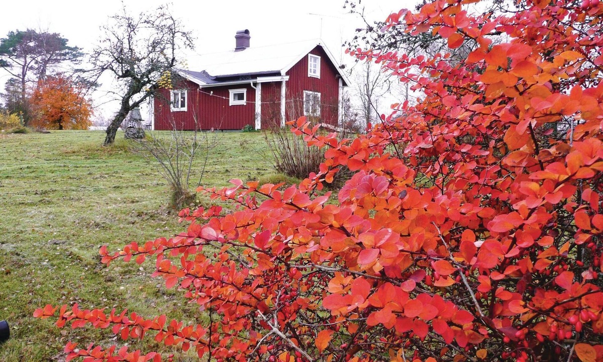 Hamneda House | Partially renovated cottage in the shady garden in Smålands Hamneda.