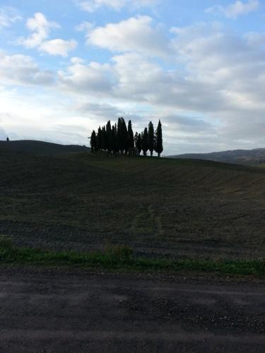 Torrenieri Apartment | Passaggio in Val d' Orcia
