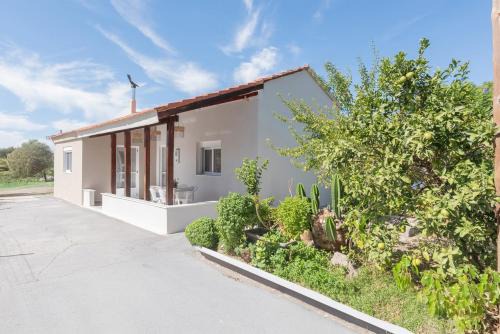 Pastida House | Pastida Olive Home
