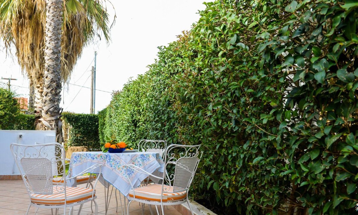 Paralia Apartment | Patras Palm Tree