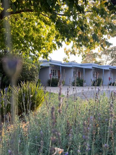 Newcastle House | Patterson B&B