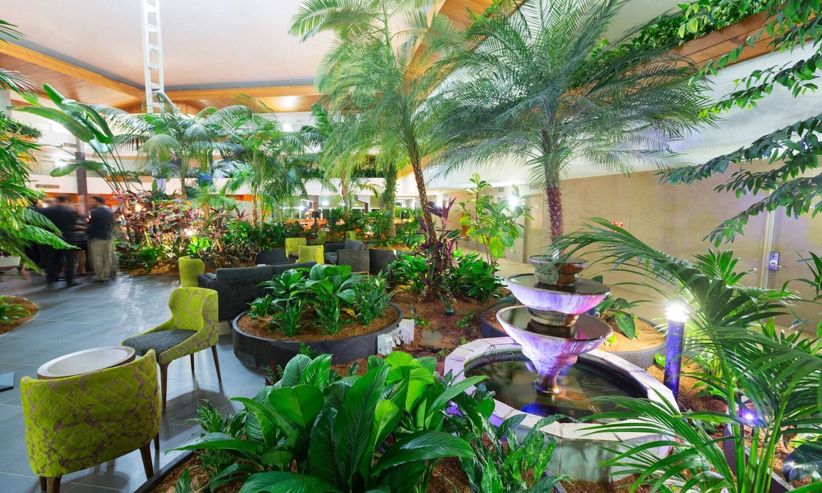 Dickson Hotel | Pavilion on Northbourne