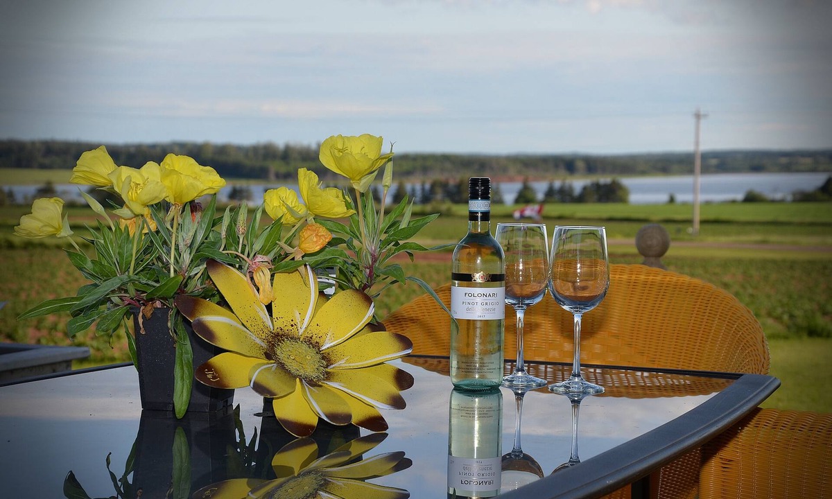 Saint Peters Bay Cottage | Peace & Relaxation with gorgeous waterviews.Near Ntl Park Beach & Trails.Year 12