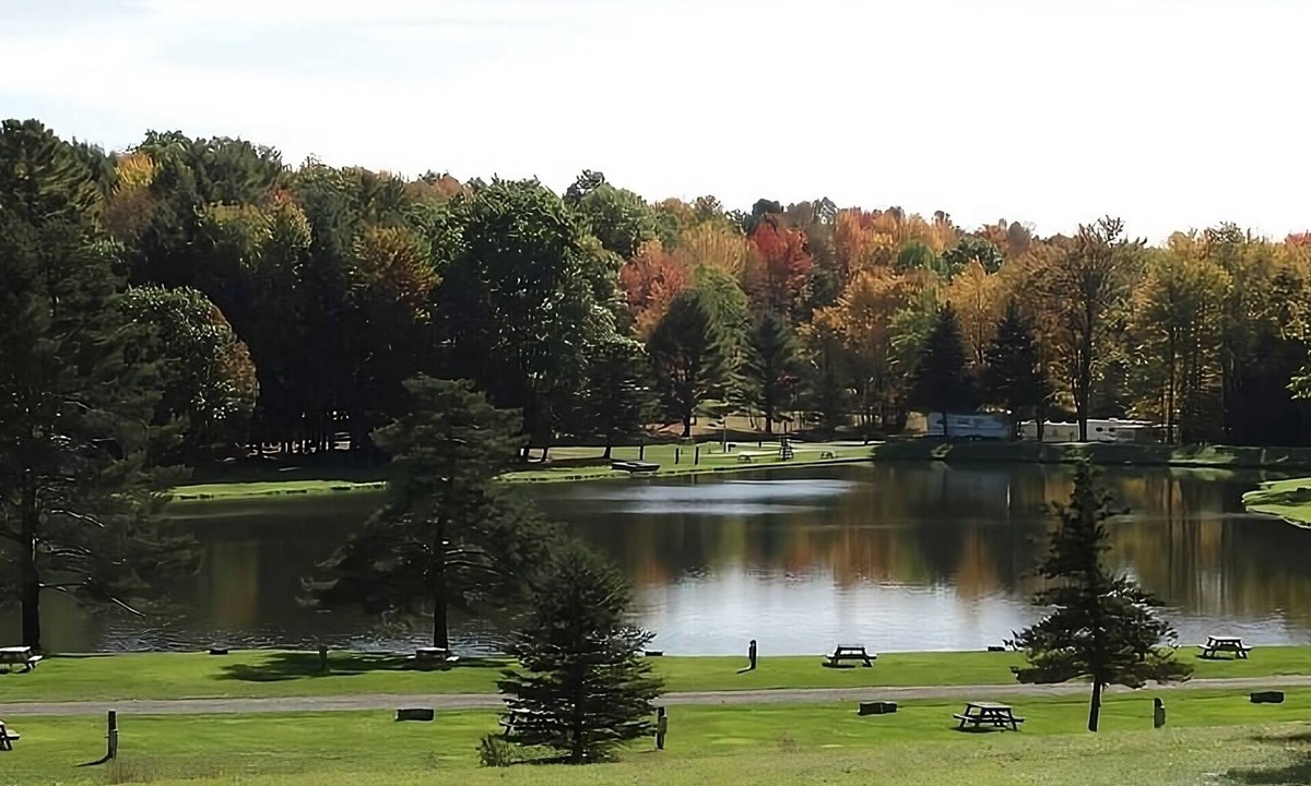 Endicott House | Peaceful Cabin Escape! Free Parking, Water Sports Activities!