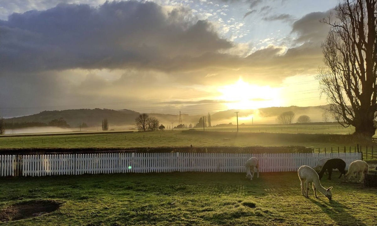 Cambridge Cottage | Peaceful Cottage with Idyllic Sunset Views in Cambridge, Waikato
