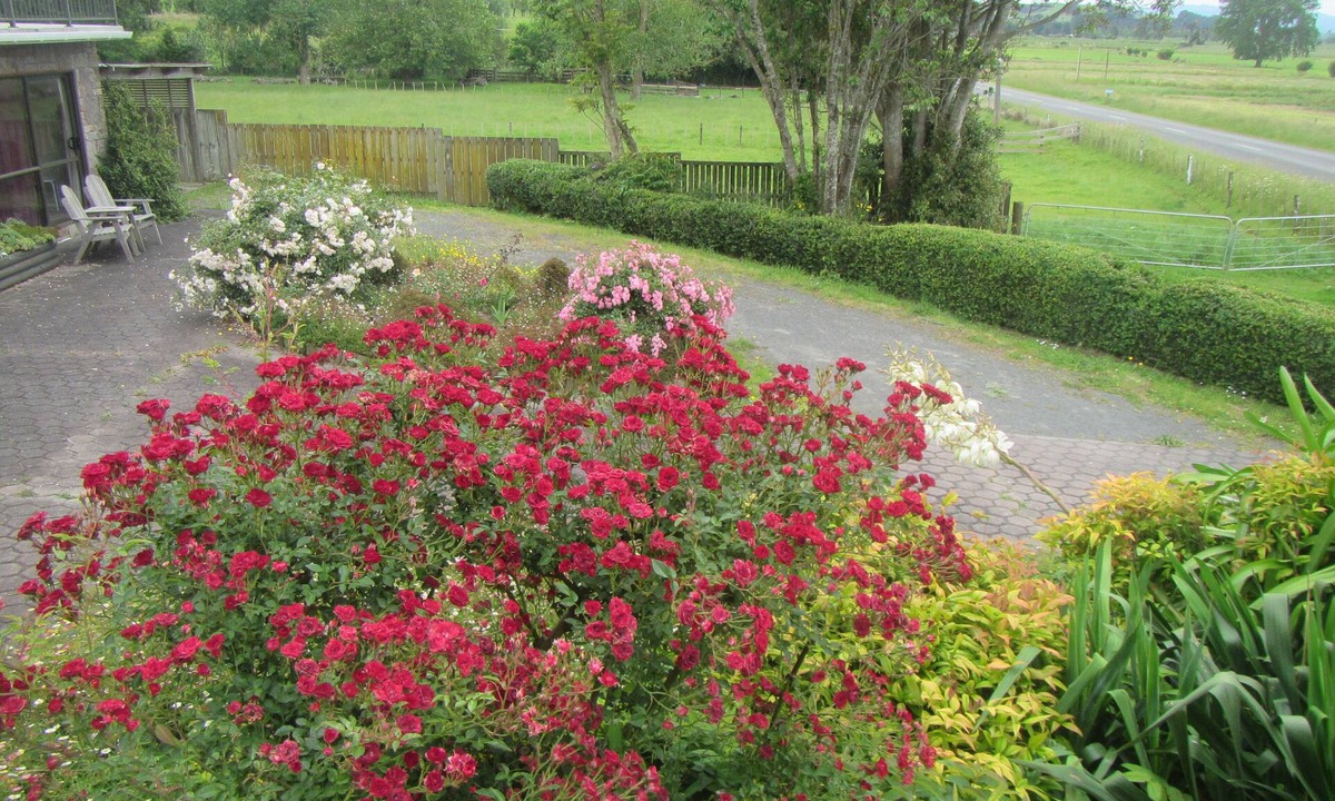 Waitakaruru Apartment | Peaceful Miranda area and less than an hour to Auckland Sleeps three